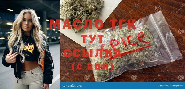 крисы Алзамай