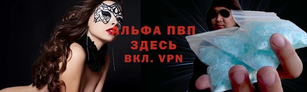 крисы Алзамай