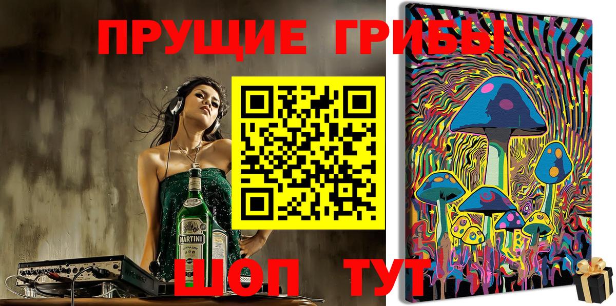 Галлюциногенные грибы Psilocybe  Вход с VPN  купить наркотики цена  Котовск  Галлюциногенные грибы MAGIC MUSHROOMS 